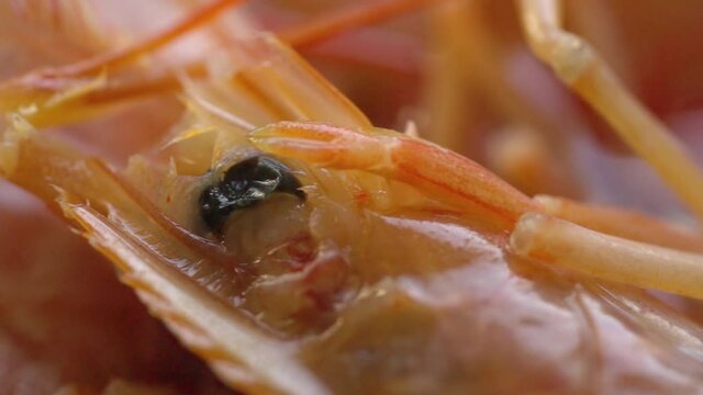 Close up on succulent fresh boiled pink prawns ready for eating in a full frame background view