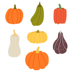 Set colorful pumpkins different shape. Autumn Harvest on Halloween. Vector hand draw clipart