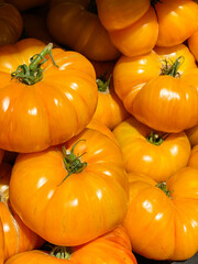 Yellow heirloom tomato in grocery store.