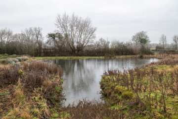 Fototapeta na wymiar pond in winter