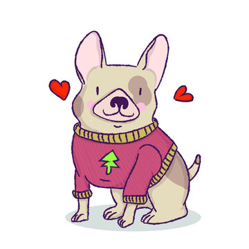 cute dog wearing a sweater