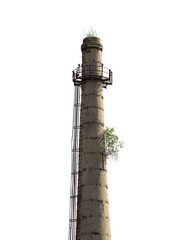 trees grown on an old chimney, ecological frame isolated on white background