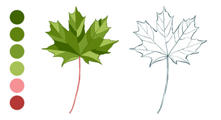 Coloring sheet with green canadian maple leaf and color palette isolated on white background. Hand-drawn style vector illustration.