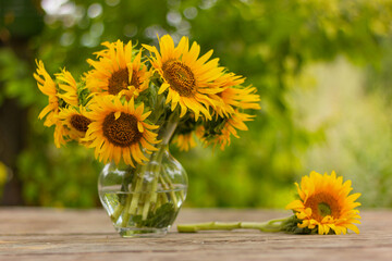 still life of a bouquet of beautiful yellow sunflower flowers on an old rustic wooden table in the...