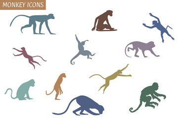 Colorful monkey vector icon set