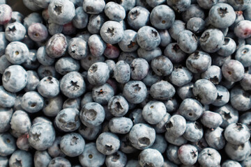 Fresh blueberries background. Berries close up, Texture blueberry.