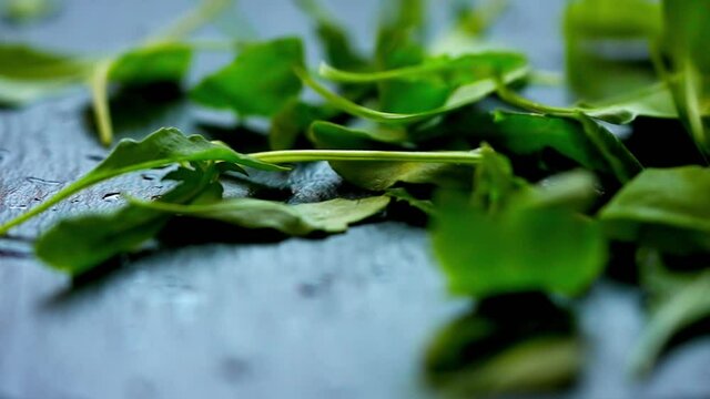 Selection of fresh green herbs for salads, garnish and cooking in close up on a board with selective focus to the center