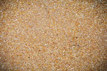 grungy wall - Sandstone surface background texture.