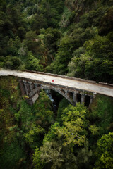 Fototapeta na wymiar Standing on Jungle Bridge on Madeira Island, Portugal