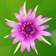 Fototapeta premium Salsify flower closeup macro realistic illustration. Vector illustration. 