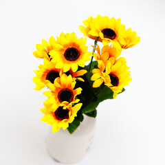 Yellow sunflower on white background.