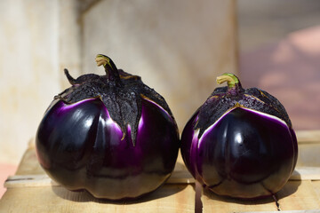Two ripe purple eggplants from Sicily lie next to each other in front of a light background