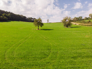 Fototapeta na wymiar Paysage d'un pré en été. Vue aérienne d'un champ vert avec un arbre. La campagne en été.