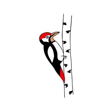 red-headed woodpecker pecking tree clip art preview