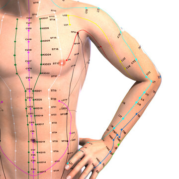 Eastern or Asian acupuncture and acupressure points on a male body
