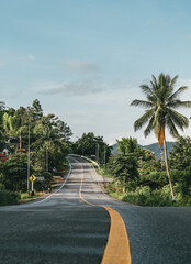 trees on the road © Adomas