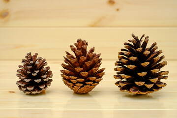 Dry pine cone on the wood table