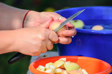 A woman with a knife in her hand is cutting apples for jam in the yard. Concept-healthy food
