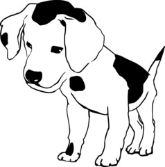 Vector linear image of a puppy. For design, clothing and interior design. Coloring.