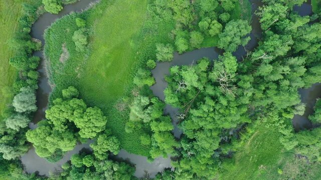 Meanders river delta river dron aerial video shot inland in floodplain forest and lowlands wetland swamp, quadcopter view flying fly flight show, protected landscape area of Litovelske Pomoravi