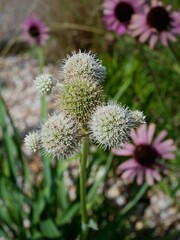 Schönheiten der Natur