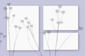 Mockup with plant shadows superimposed on an 3 horizontal and vertical sheet of textured white paper on a violet table background