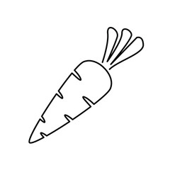 carrot icons symbol vector elements for infographic web