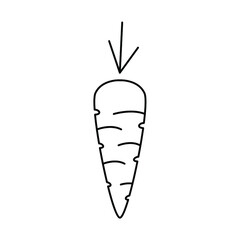 carrot icons symbol vector elements for infographic web