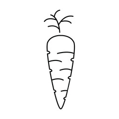 carrot icons symbol vector elements for infographic web