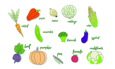 Vector illustration of vegetables with inscriptions: tomato, beet, pepper, eggplant, cucumber, broccoli, carrot, pumpkin, cabbage, onion, cauliflower, carrot, corn.