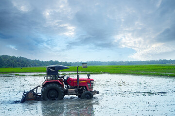 A tractor prepares a paddy field, Tractor Plowing a rice field for rice planting, Nature photography