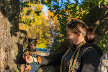 Young woman enjoys companionship with her beloved pinscher dog in a city park. Selective focus with...