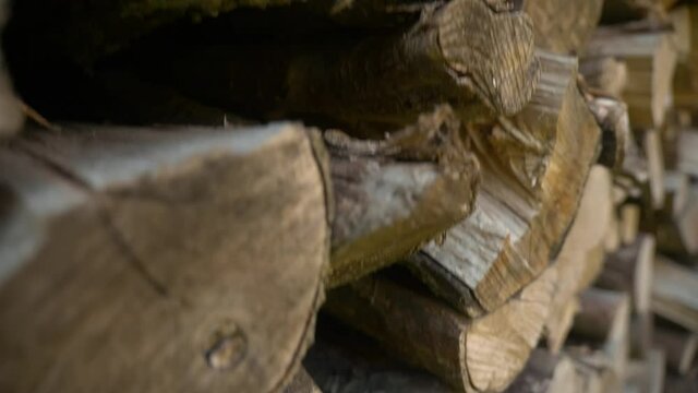 firewood 