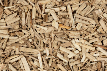 Oak chips sawdust texture. small wood chips for smoking. sawdust background. ecological fuel