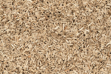 Oak chips sawdust texture. small wood chips for smoking. sawdust background. ecological fuel