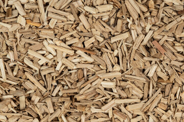 Oak chips sawdust texture. small wood chips for smoking. sawdust background. ecological fuel