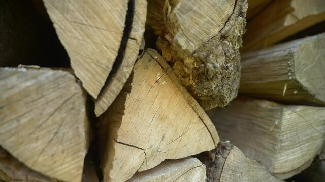 stack of firewood