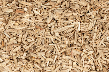 Oak chips sawdust texture. small wood chips for smoking. sawdust background. ecological fuel