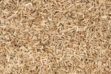 Oak chips sawdust texture. small wood chips for smoking. sawdust background. ecological fuel