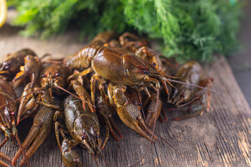 crayfish fresh ready to cook raw product meal snack on the table copy space food background rustic. top view