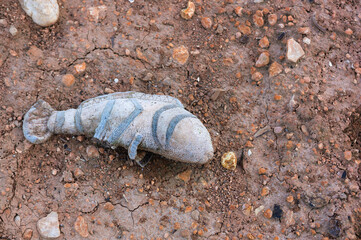 Image of an abandoned fish shaped plush toy with copy space