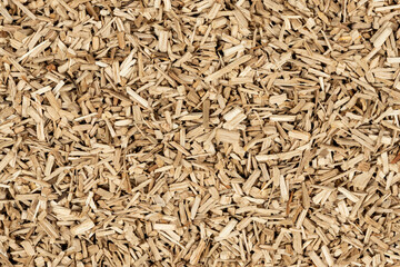 Oak chips sawdust texture. small wood chips for smoking. sawdust background. ecological fuel