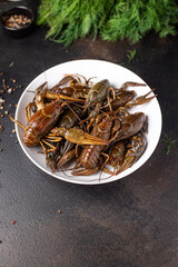crayfish fresh ready to cook raw product meal snack on the table copy space food background rustic. top view