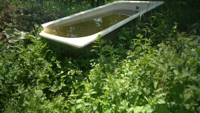 watering can in garden