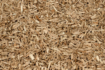 Oak chips sawdust texture. small wood chips for smoking. sawdust background. ecological fuel