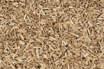 Oak chips sawdust texture. small wood chips for smoking. sawdust background. ecological fuel