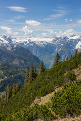 Fototapeta premium Jenner Ausblick