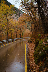 landscape autumn season in rainy day Travel and yellow leaves. Transportation. Empty highway in foggy woodland. Fall Road Trip