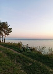 Obraz premium Bicycle in the forest against the backdrop of a beautiful sunset.