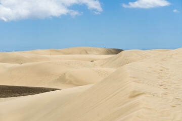 Fototapeta na wymiar Dunas de Maspalomas en la isla de Gran Canaria